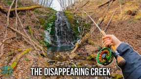 Fly Fishing in the Winter for Trout!! (This Creek was WILD)