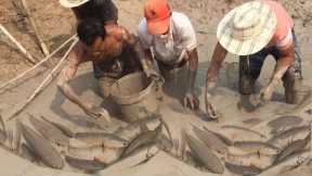 Fishing Exciting, Use A Large Capacity Pump, Catch Many Of Fish In The Lake