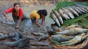 A lot fish in water muddy catching for food| Fish crispy delicious for dinner