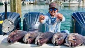 We ATE the *SLIMIEST* Fish in the Ocean! Barrelfish Catch Clean and Cook