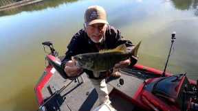 Crappie Fishing Out Of My New Vexus Boat, Lake Monticello
