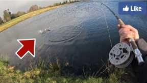 Fly Fishing in Super Strong Winds!