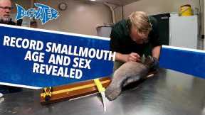 Record Smallmouth Sex and Age Revealed