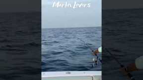 Best Stunning Sea Fishing, 🐟 Amazing Ice Fishing, Big Fish Fishing, Catching Marlin🐟 #short #fishing