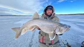 Fishing A Giant Reservoir For Big Lake Trout (FORT PECK, MONTANA)