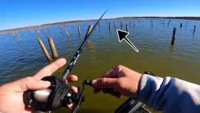 Which Stumps Should I Fish For Bass? Fishing Lake Fork (Practice Breakdown)