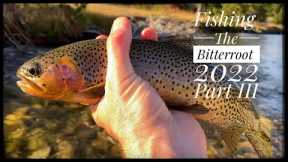 Fly Fishing the Bitterroot: 2022, Part III
