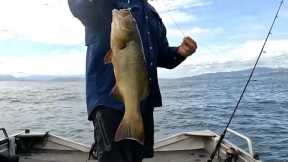 Catching the 'BEST EATING FISH' - Fishing Tropical Island (Catch, Clean and Cook)