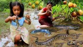 Big snake and fish catch for food +3cooking in forest- Top survival cooking