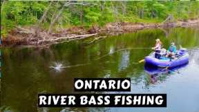 Outstanding River Bass Fishing | Algonquin Fly Fishing