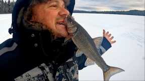 ICE FISHING FAIL :  Day 6