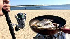 Catching and eating WILD FISH right off RANDOM Beach!