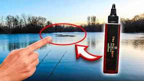 Winter Carp Fishing Vlog Down Local Park Lake!