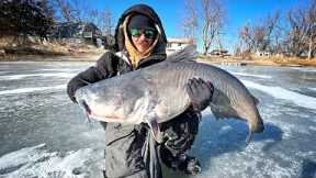 Ice Fishing For MONSTROUS BLUE CATFISH!!! (Possible Record)