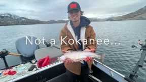 Fishing with Kids Lake Roosevelt 2023