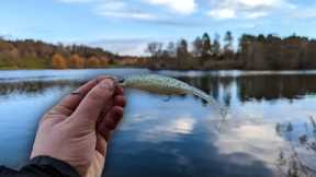 Lure fishing on a Lake for Pike 🎣🐊