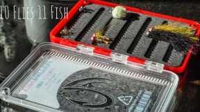 A Fly Fishing Challenge: 10 Flies 11 Fish