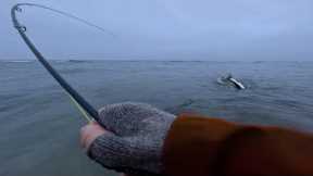 Fly Fishing in Water Close to Freezing. How Can It Be This Good?