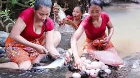 Adventure solo: Best survival video, Catch and cook - Cooking Fish, Egg & Snails - Survival cooking