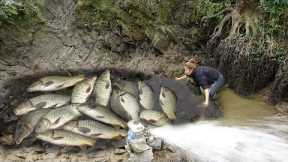 Create bait to lure fish into the lake, Use a pump to drain the water in the lake, Catch a lot fish