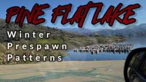 Targeting Winter prespawn bass | Pine Flat Lake