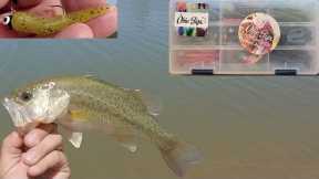 Fishing with Subscribers - Obie Jigs at McKellips Lake AZ