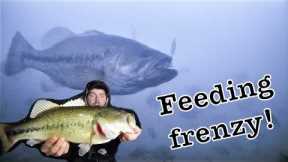 Ice Fishing Bass CRAZY UNDERWATER Footage!