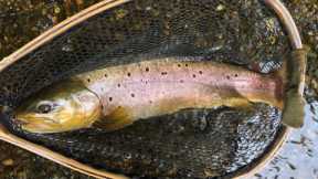 MY WAY Fly-Fishing Tips and Suggestions, March 2023