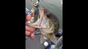 Table Rock Lake Video Fishing Report Mar 6, 2023 short