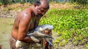 Fish Catching,Cutting and Cooking - Village Food Cooking - Village Fishing