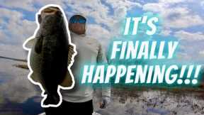 Lake Fork Spring Bass Fishing: Best Spawn Fishing Ever? It's Happening!!!