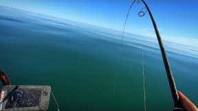 Diverse Fishing On Underwater Rocks + Underwater Camera View