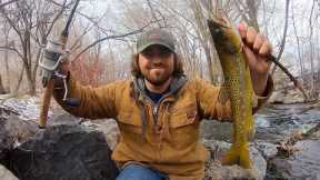 “SPRING” Trout Fishing CATCH & COOK!!
