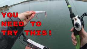 Best lures for schooling bass! Topwater action on Canyon Lake! (Fishing with new Sub)