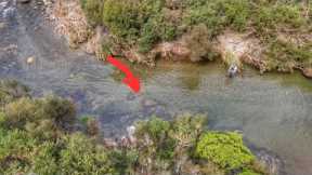 FISHING AFTER A CYCLONE!! [Brown Trout]