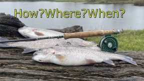Trout fishing| fly fishing| Fishing in the rain