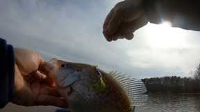 Kerr Lake Fishing With Grubs / Good Spring Crappie Baits
