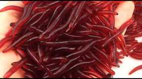 Fishing Lures Artificial Silicone Pesca Lifelike Fishy Smell Red Worms Soft Bait Simulation