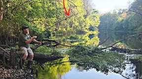 BLUEGILL Fishing With a Cane Pole Along a Riverbank!! (Catch Clean Cook)!!