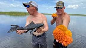 HAND CATCHING PREHISTORIC FISH (*CAVIAR* Catch & Eat)