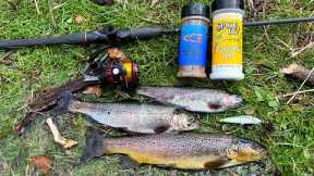 Wild Trout Fishing and Cooking in the Mountains!