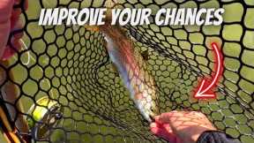 This Fly is DEADLY for Early Spring Fly Fishing