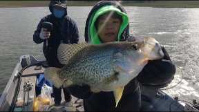 Huge Crappies At Lake Camanche