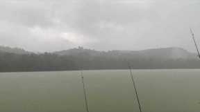 Fishing Ambience | By the lake | Meditation music | Hidden forest Ambience | Rainy day Ambience 4K