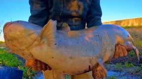 Special Red Catfish Bait, Fishing For Catfish