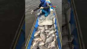 Net Fishing Gone Wrong 😱 Look at those giant fish #fishing #fish #shorts #youtubeshorts #short