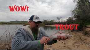 Part 2 - What Trout? Lake Skinner - 2022-23 Fish Stock Schedules are here!
