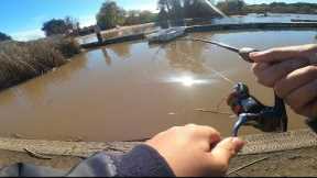 PINTO LAKE PRESPAWN FISHING 2023