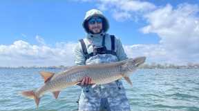 Using a smallmouth bass as bait on lake St Clair!!!