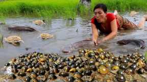 Adventure solo in forest- Catching big catfish in rice field -Grilled fish spicy +2cooking food